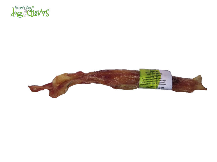Nature's Own🍁 Large Beef Dental Tendons 9"-12"