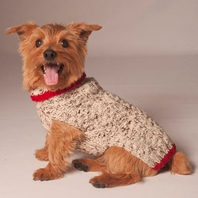 OATMEAL W/RED TRIM CABLE KNIT DOG SWEATER - Bones Bizzness
