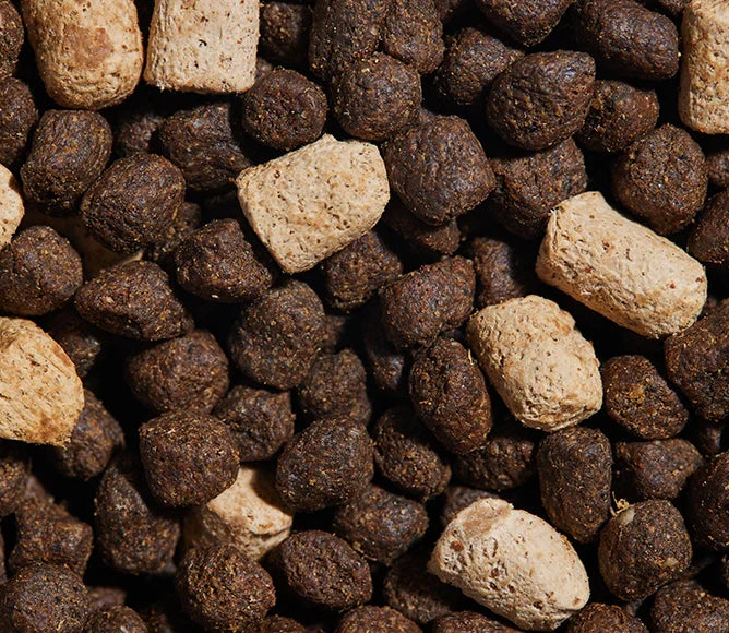Open Farm® RawMix Great Plains Ancient Grains Lamb, Venison and Bison for Dogs