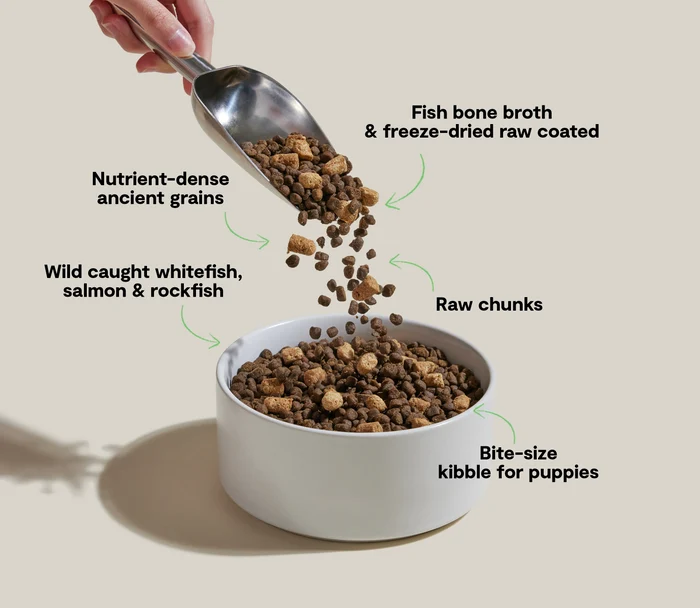 Open Farm® RawMix Puppy Ancient Grains Salmon, Whitefish & Rockfish