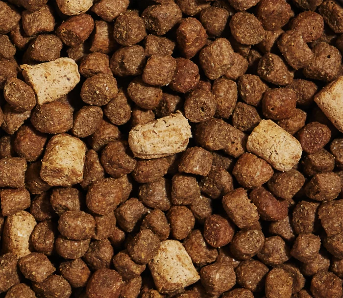 Open Farm® RawMix Puppy Ancient Grains Salmon, Whitefish & Rockfish
