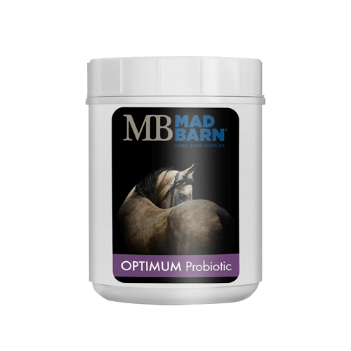 Optimum Probiotics - High-Potency 5-Strain Probiotic  🍁MadBarn