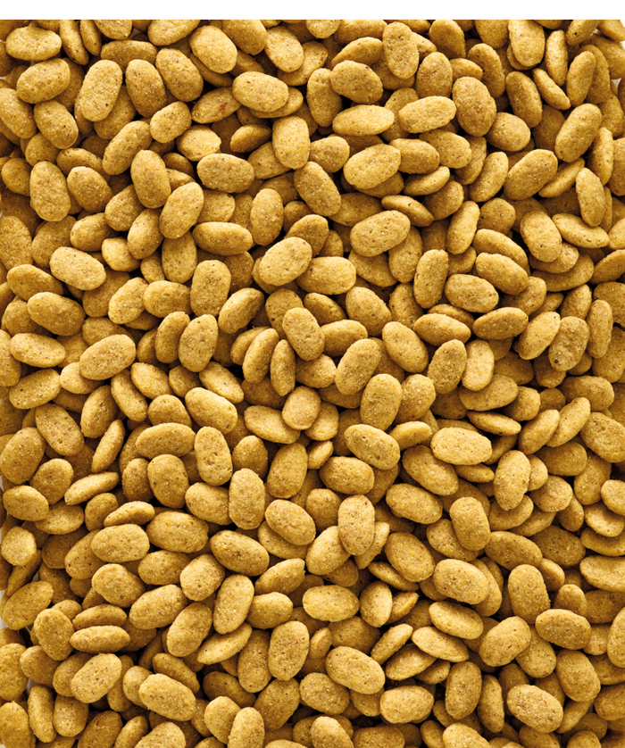 Premium Parrot Pellets