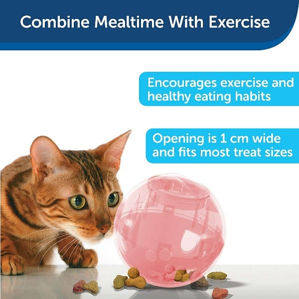Petsafe Slim Cat Blue