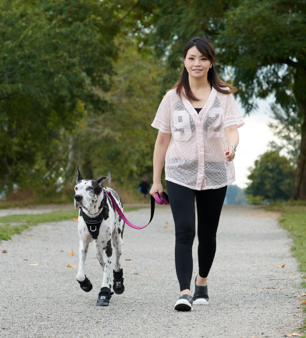 RC Pets🍁 Black Strider Boot