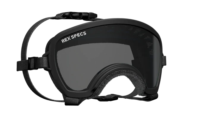 Rex Specs Small Wide Goggles for Dogs