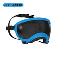Rex Specs V2 Hurricane Blue Goggles for Dogs