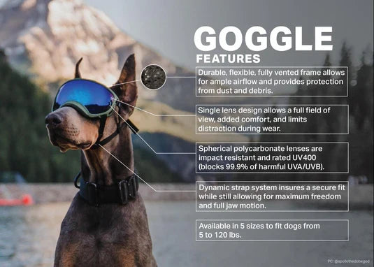 Rex Specs V2 Hurricane Blue Goggles for Dogs