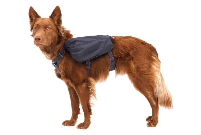 RUFFWEAR Front Range Day Pack Basalt Gray