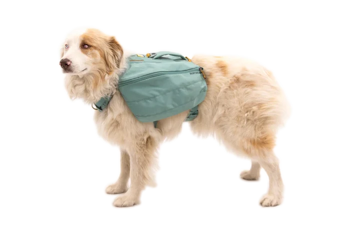 RUFFWEAR Front Range Day Pack River Rock Green
