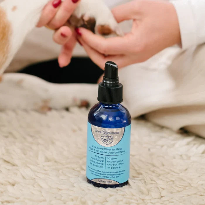Silver4Wellness 🍁Structured Silver for Pets 30ppm with Spray 120ml