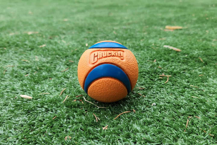 Single - Chuck It! Medium UltraBall