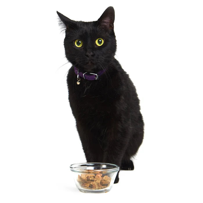 Smack 🍁Pacific Fish Feast Raw Dehydrated Super Food for Cats 210g