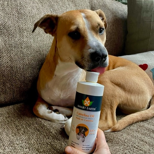 Smart Earth 🍁Camelina Oil for Dogs and Cats