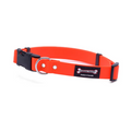 Smoochy Poochy🍁 Orange Waterproof Quick Release  Collar