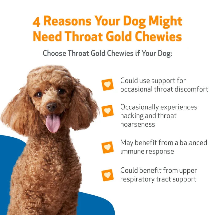Throat Gold Chewies - for Occasional Throat Discomfort in Dogs