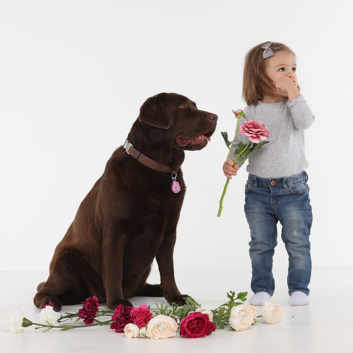 TICKLESS® Classic Pet Ultrasonic Tick and Flea Repellent - Pink