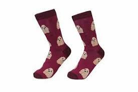 Unisex Sock Daddy Cocker Spaniel