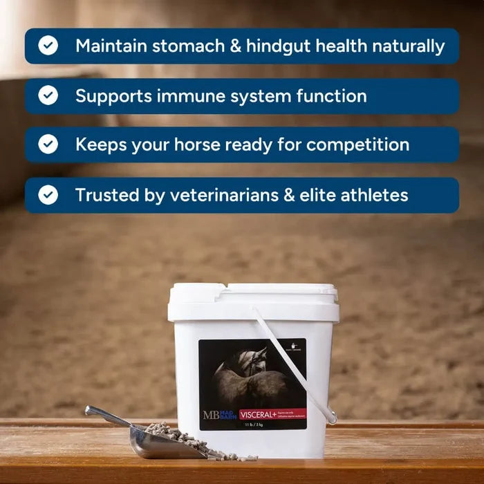 Visceral + Advanced Gut Health Supplement 🍁MadBarn