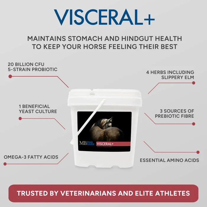 Visceral + Advanced Gut Health Supplement 🍁MadBarn