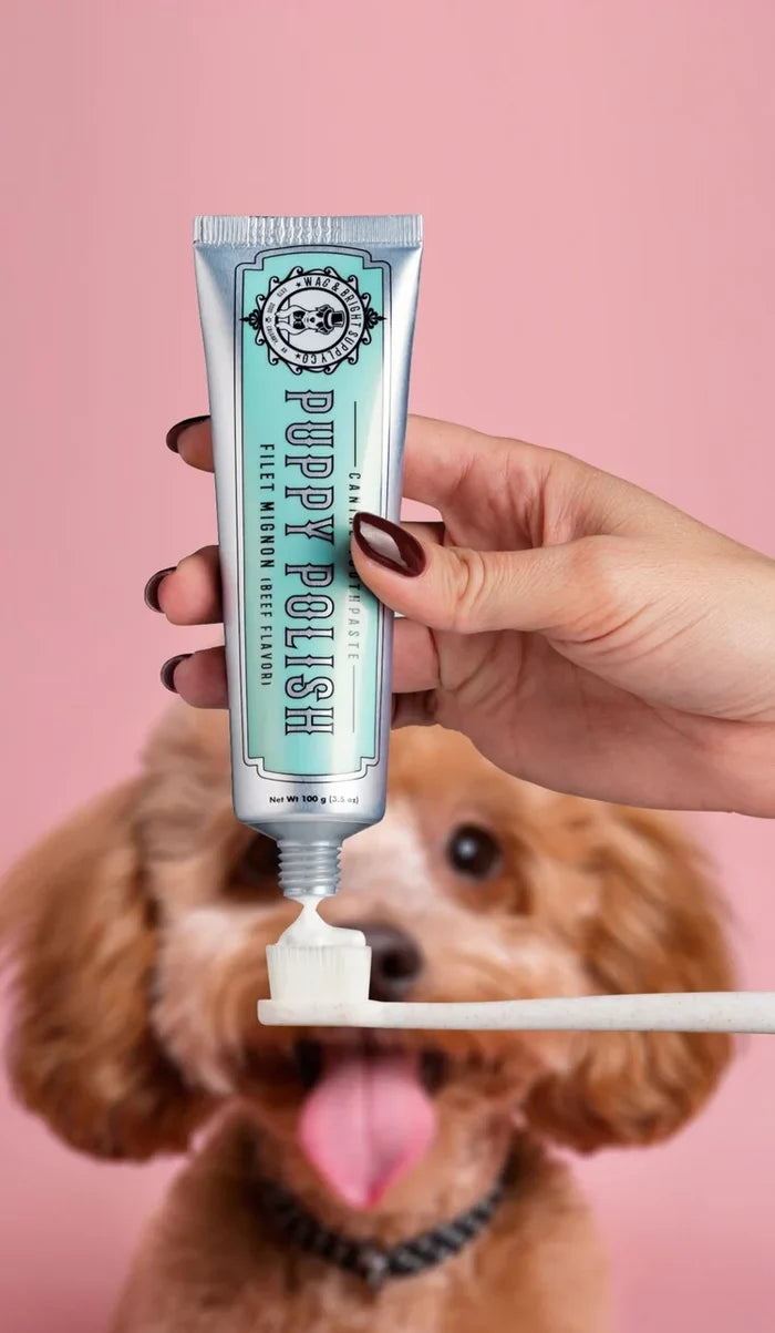 Wag & Bright 🍁Filet Mignon Puppy Polish Toothpaste 100g