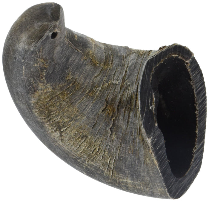 Water Buffalo Hornz by QT Dog