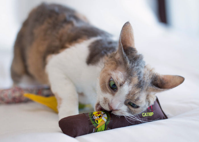 Yeowww! Catnip Cigars